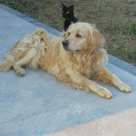 La Casa Di 8