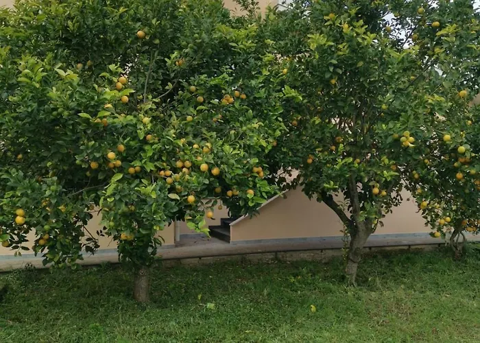 La Casa Di 8 モーディカ